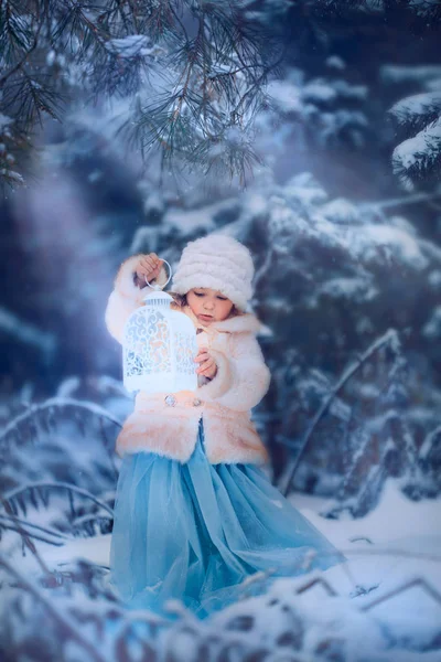 Vintern fairytale flicka — Stockfoto