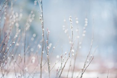 Bahar arka plan Kukum ile