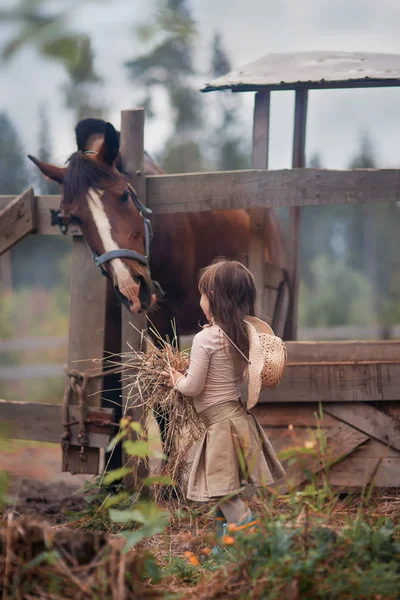 Süßes Mädchen füttert ihr Pferd auf der Koppel — Stockfoto