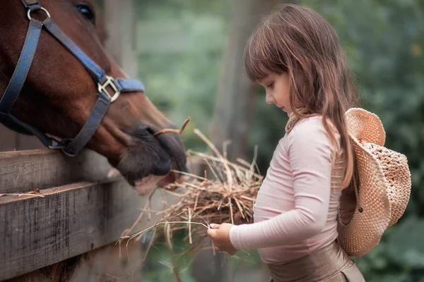 Süßes Mädchen füttert ihr Pferd auf der Koppel — Stockfoto