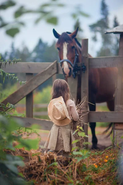 Jolie fille nourrir son cheval dans paddock — Photo