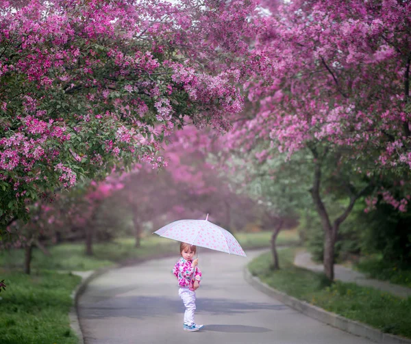 Little girl under blooming cherry tree — Stock Photo, Image