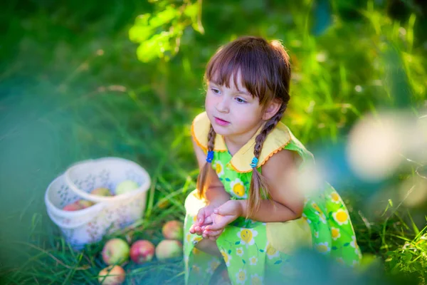 Menina com uma cesta de maçãs — Fotografia de Stock