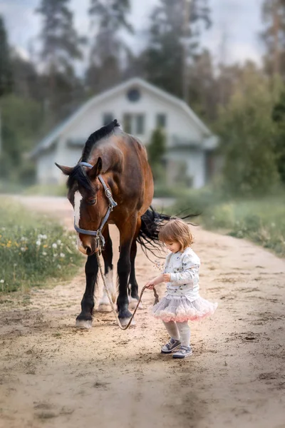 Menina com seu cavalo retrato ao ar livre — Fotografia de Stock