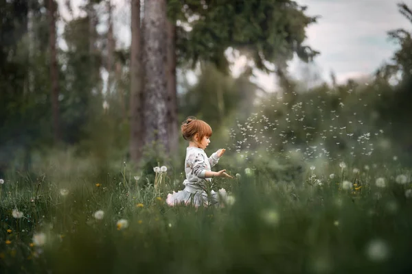 Pequeña chica rizada soplando diente de león — Foto de Stock