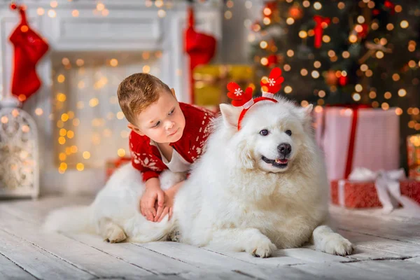 Niño con perro en Nochebuena — Foto de Stock