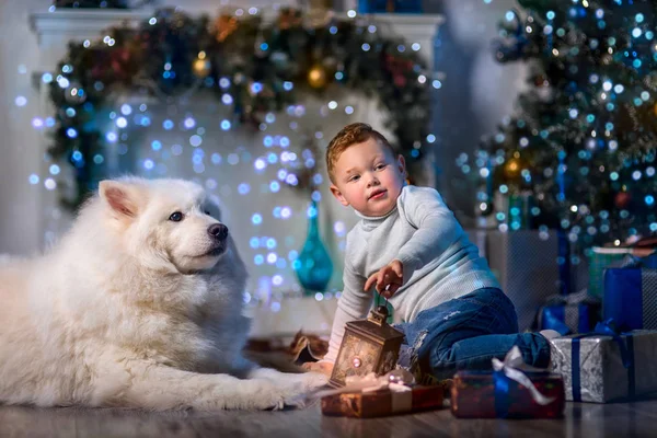 Mały Chłopiec Psem Wigilię Bożego Narodzenia — Zdjęcie stockowe