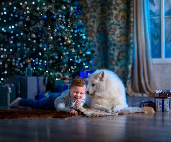 Petit Garçon Avec Son Chien Veille Noël — Photo