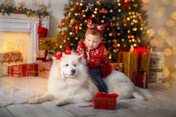 Niño con perro en Nochebuena — Foto de Stock