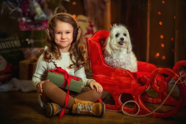 Little girl with dog at Christmas Eve — Stock Photo, Image