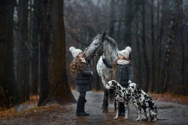 İkiz kızlar dikey, Appaloosa at ve Dalmaçyalı köpekler 