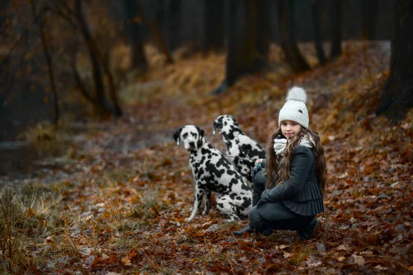 Ung pige portræt med sine dalmatiske hunde - Stock-foto