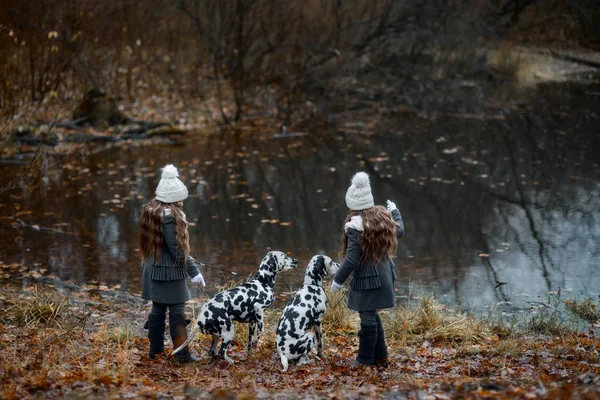 Δίδυμα κορίτσια πορτρέτο Dalmatian σκυλιά — Φωτογραφία Αρχείου