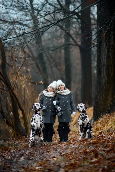 Gêmeos meninas retrato cães dálmatas — Fotografia de Stock