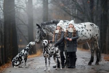 İkiz kızlar dikey, Appaloosa at ve Dalmaçyalı köpekler 