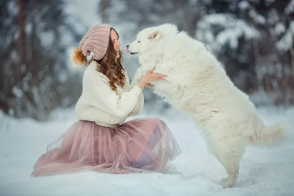 Mulher bonita com cão samoyed — Fotografia de Stock