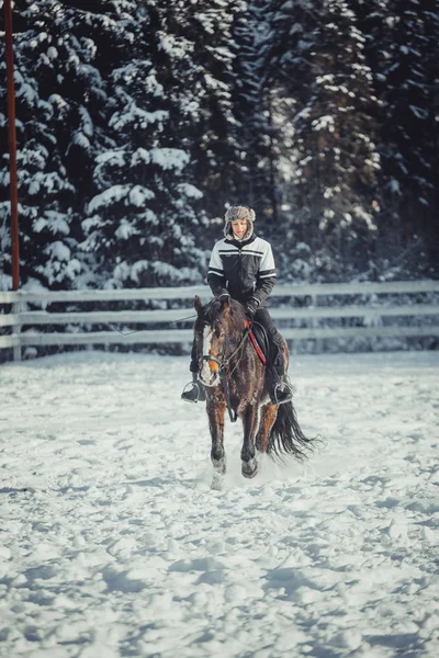 冬の馬に乗って跳ぶ — ストック写真