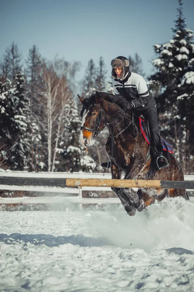 Winter jump horse ride jumping — Stock Photo, Image