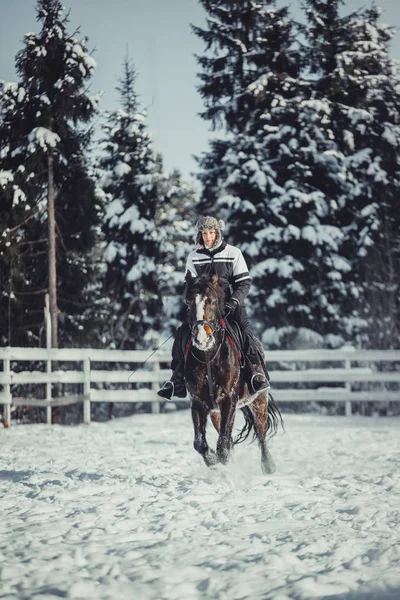 Hiver saut à cheval équitation saut — Photo