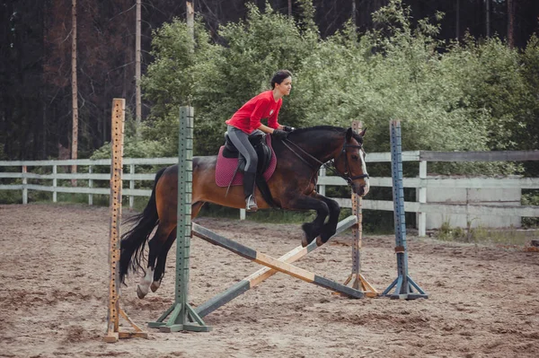 Våren hoppa häst rida hoppning — Stockfoto