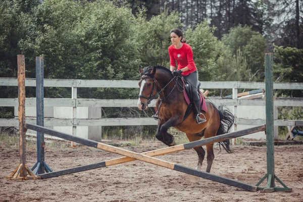 Primavera salto cavalo passeio salto — Fotografia de Stock