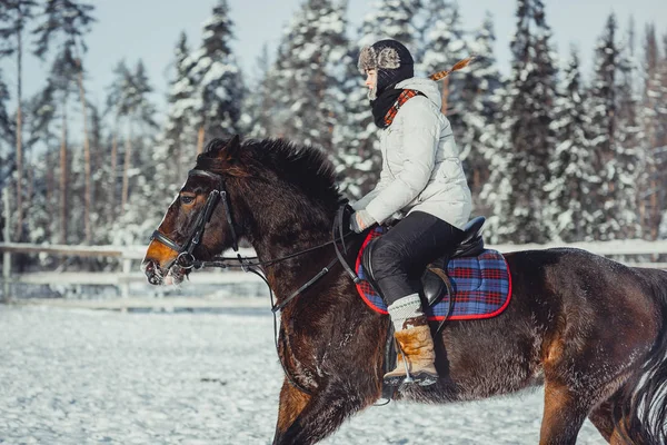 Salto invernale giro a cavallo salto — Foto Stock