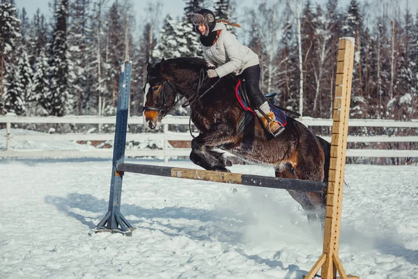 Inverno salto cavalo passeio salto — Fotografia de Stock