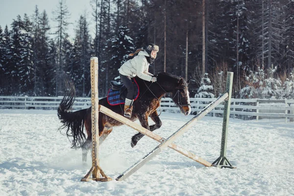 Inverno salto cavalo passeio salto — Fotografia de Stock