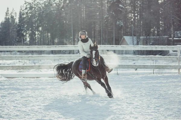 Invierno salto caballo paseo saltar —  Fotos de Stock