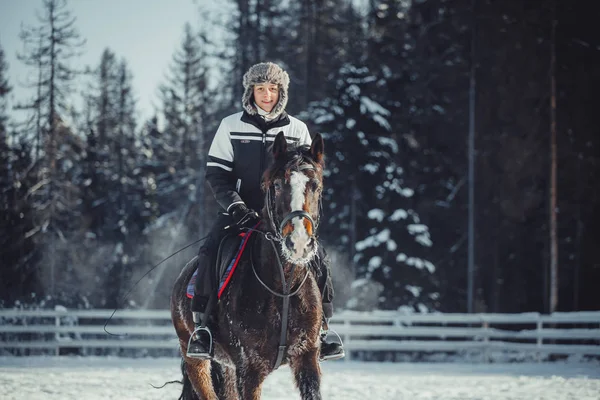 Winter sprong paardrijden springen — Stockfoto