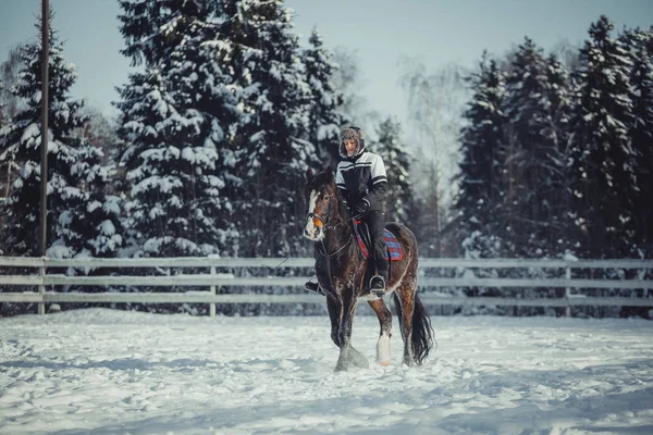 Winter jump horse ride jumping — Stock Photo, Image