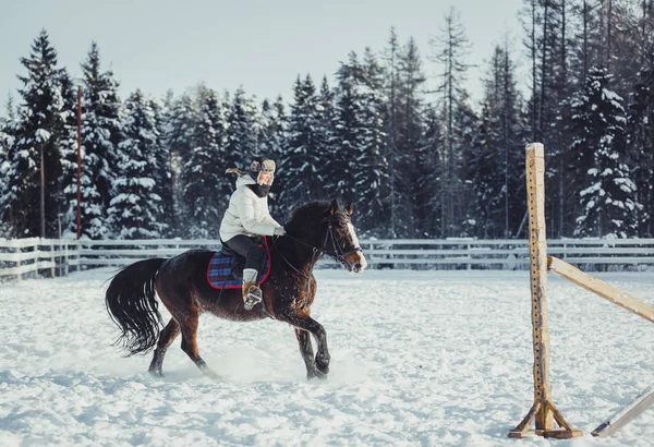 Hiver saut à cheval équitation saut — Photo