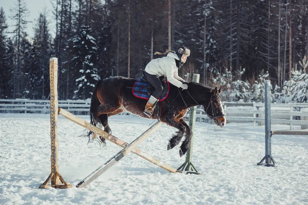 Winter jump horse ride jumping — Stok Foto