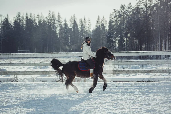 Salto invernale giro a cavallo salto — Foto Stock