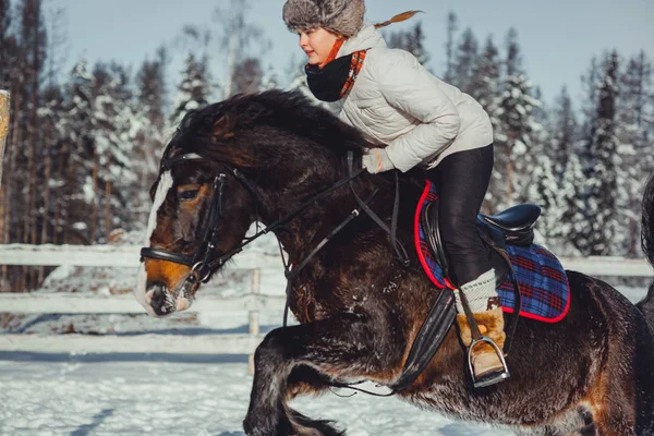 Inverno salto cavalo passeio salto — Fotografia de Stock