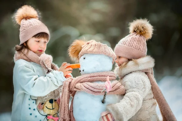Sorelline Con Pupazzo Neve Nel Parco Invernale — Foto Stock