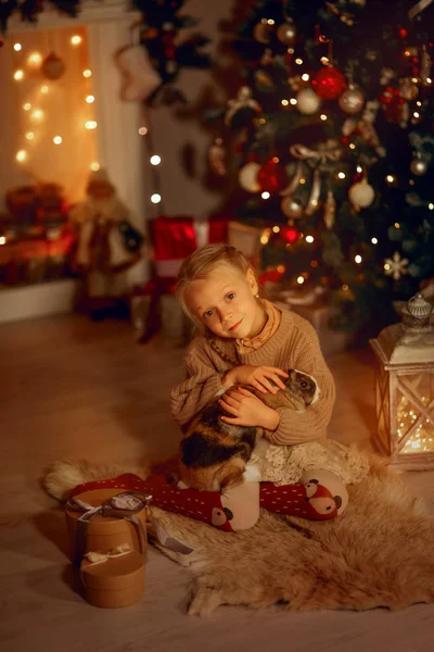圣诞前夕和棕色兔子在一起的快乐小女孩 — 图库照片