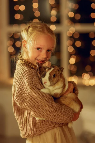 Boldog Kislány Barna Nyúllal Karácsony Este — Stock Fotó