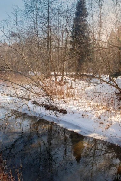 阳光灿烂的十一月霜冻景观 — 图库照片