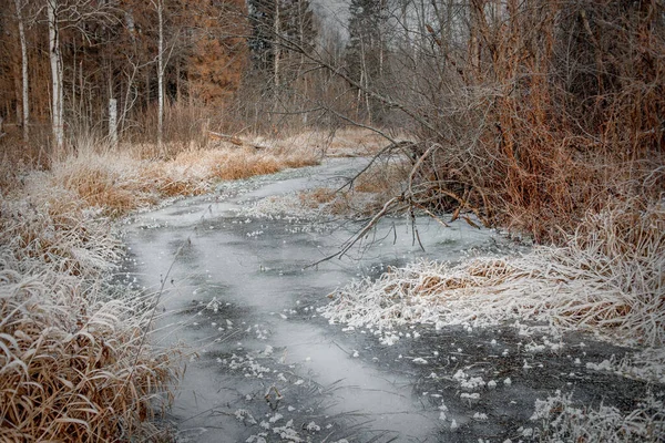 阳光灿烂的十一月霜冻景观 — 图库照片