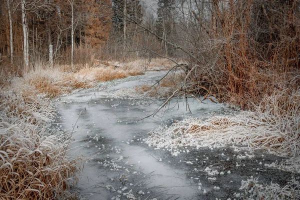 Paysage Glacé Par Temps Ensoleillé — Photo