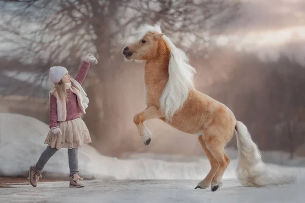 在冬季公园里带着小白马的小女孩 — 图库照片