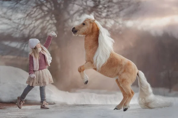 Petite Fille Avec Cheval Miniature Palomino Dans Parc Hiver — Photo