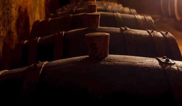 Barrels Wine Old Basemen — Stock Photo, Image