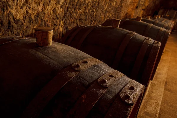 Barrels Wine Old Basemen — Stock Photo, Image