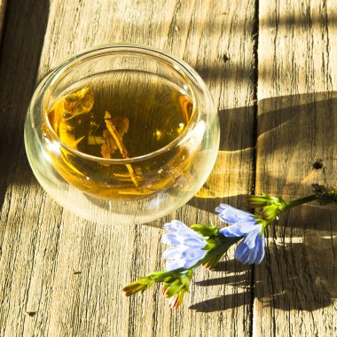 Taze hindiba içecek