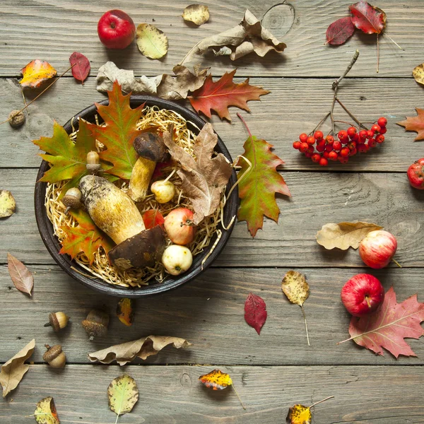 Autumn still life with mushrooms and leaves — Stock Photo, Image