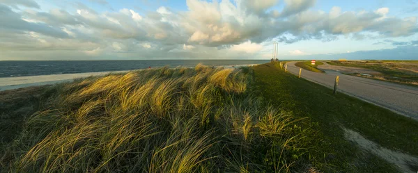 Dune de plajă cu iarbă lângă drum — Fotografie de stoc gratuită