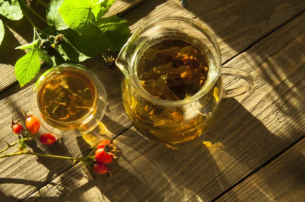 Caldo Con Rosa Canina — Foto Stock