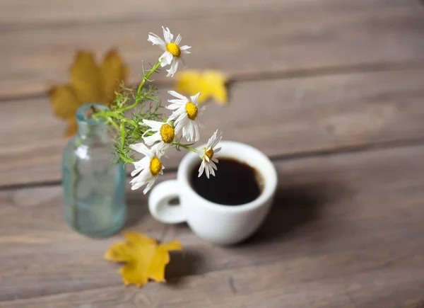 Coffee with chamomiles and autumn leaves — Stock Photo, Image
